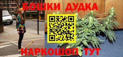 стаф Обнинск