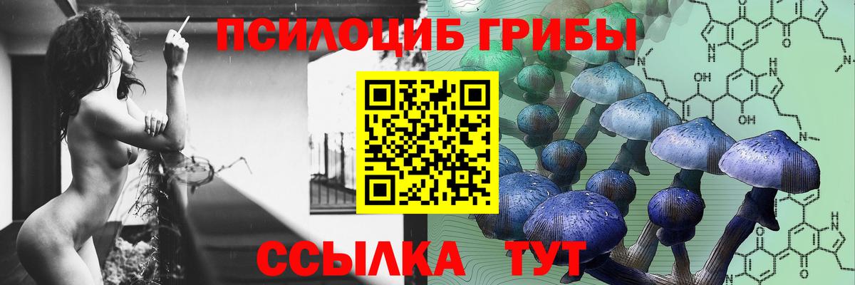 Псилоцибиновые грибы прущие грибы  Вход с VPN  Соль-Илецк 